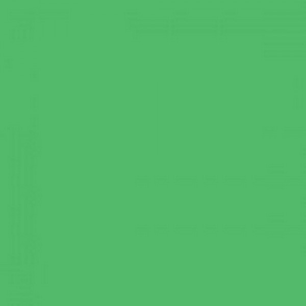 BD Veri Green (Chroma Key Green) 2,75x11 Papier-Hintergrund