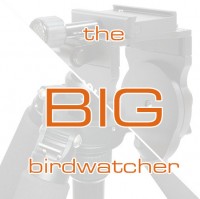 FEISOL Stativset 3472LVBBW "the big birdwatcher"