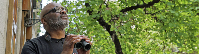 media/image/banner_urban-birdwatcher.jpg