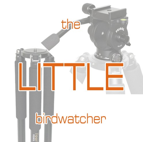 FEISOL Stativset 3442LBW "the little birdwatcher"